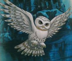 Image shows a drawing of Hedwig over a blue background