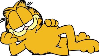 Image shows a picture of Garfield, laying down