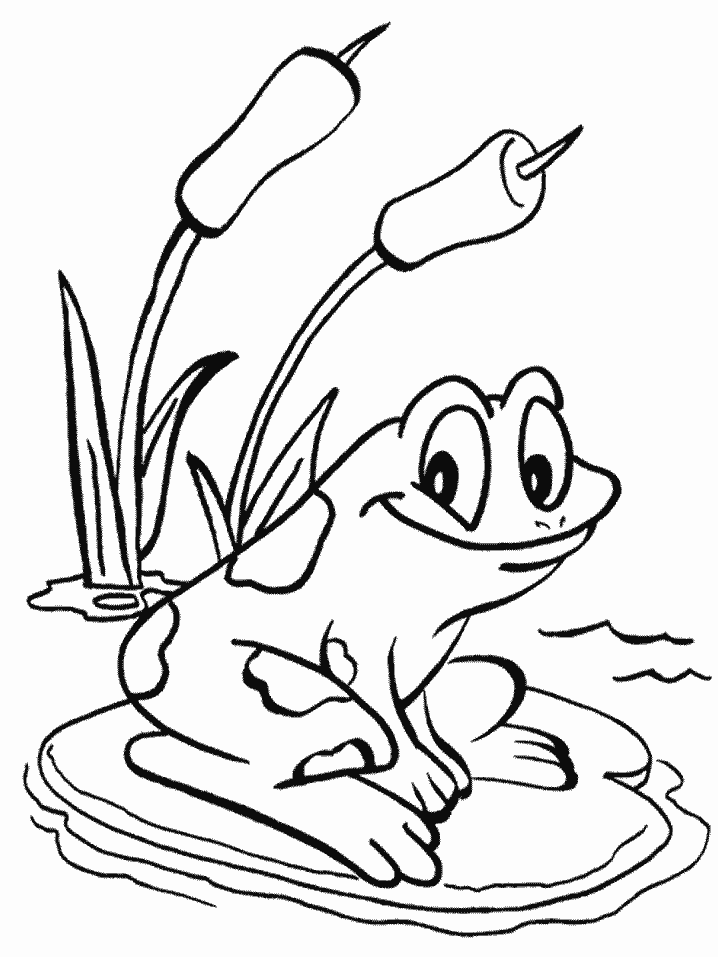 Image shows a black and white drawing of a toad standing on a leaf with two flowers
