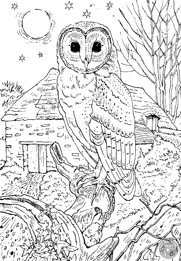 Image shows a black and white drawing of an owl satnding on a tree branch. In the background there is a barn, trees without leafs, the full moon and stars.