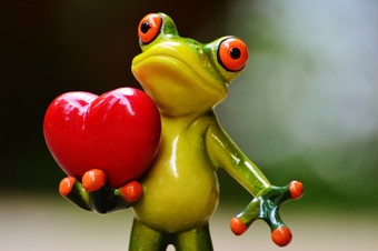 Image shows a green toad with a red heart on its hand