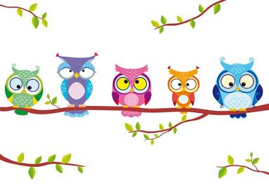 Image shows a drawing of 5 owls standing on a branch with leafs. The owls are, from left to right, green, purple, pink, orange and blue.